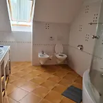 Apartmaji Sitar Ribnica na Pohorju