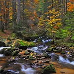 Apartmaji Sitar Apartamento *