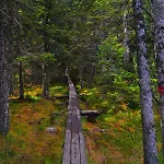 Apartamento Apartmaji Sitar