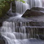 Apartmaji Sitar Ribnica na Pohorju