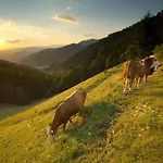 Apartmaji Sitar * Ribnica na Pohorju