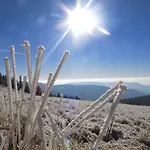 Apartmaji Sitar Ribnica na Pohorju