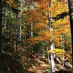 Apartamento Apartmaji Sitar *