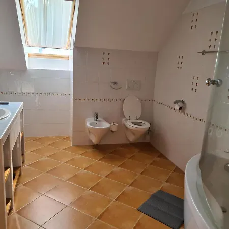 Apartmaji Sitar Ribnica na Pohorju