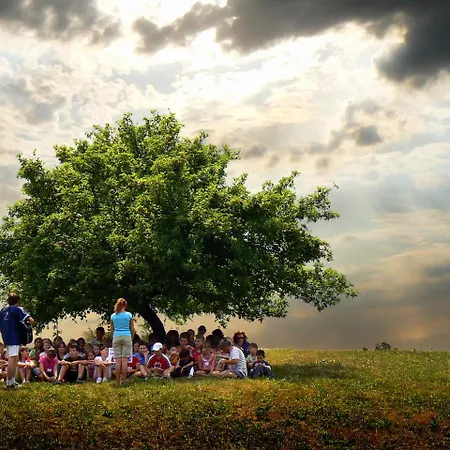 Apartman Apartmaji Sitar