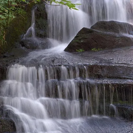 Apartmaji Sitar Ribnica na Pohorju