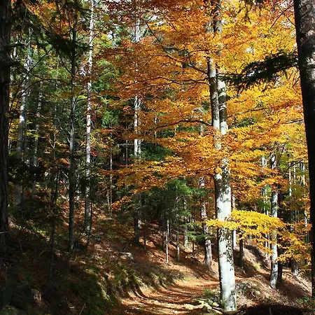 Apartman Apartmaji Sitar *