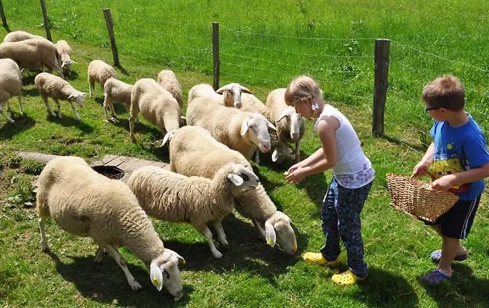 דירה Apartmaji Sitar Ribnica na Pohorju