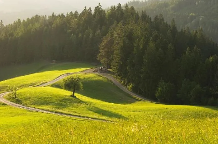 Apartmaji Sitar Ribnica na Pohorju