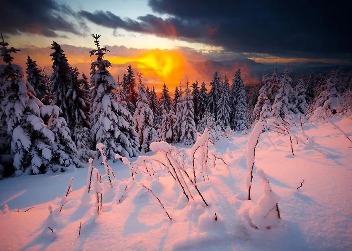 Apartmaji Sitar アパート *