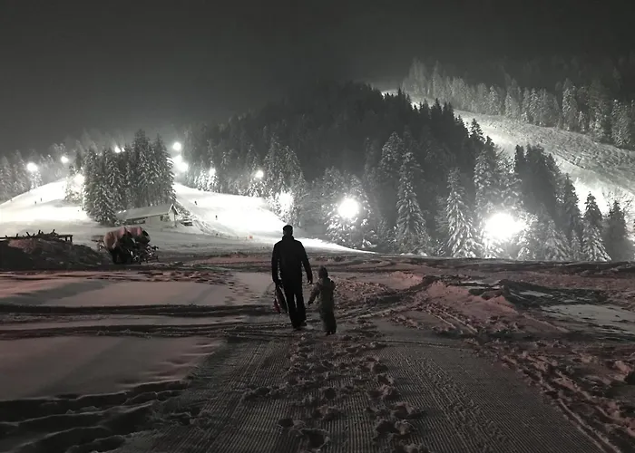 Appartement Apartmaji Sitar *