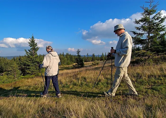 Apartmaji Sitar Ribnica na Pohorju