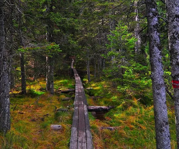 Apartman Apartmaji Sitar