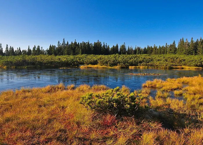Appartement Apartmaji Sitar