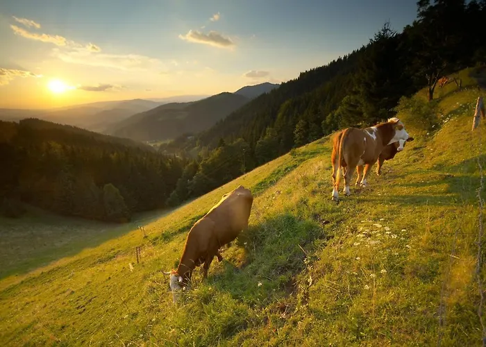 Apartmaji Sitar * Ribnica na Pohorju