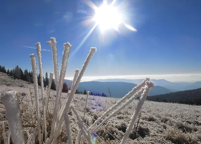 Apartmaji Sitar Ribnica na Pohorju
