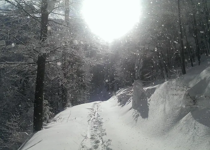 アパート Apartmaji Sitar Ribnica na Pohorju